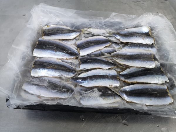 Filets de Sardines